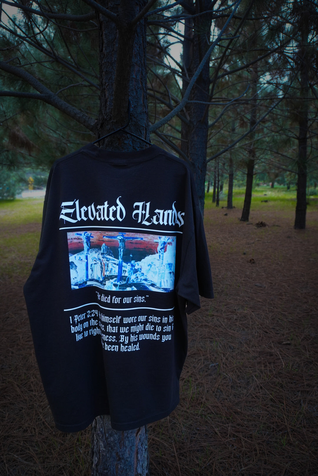 "He Died For Our Sins"